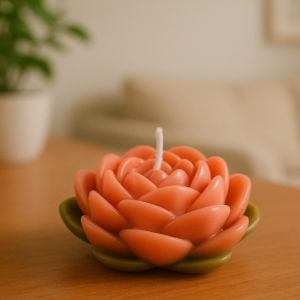 vela suculenta salmón aroma floral en cera de soja