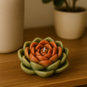 vela suculenta verde y coral sin fragancia en cera de soja