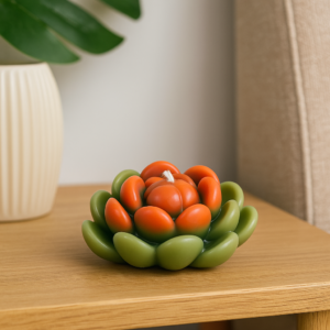 vela suculenta mini – verde & coral